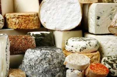 В Германии начали производить сыр с добавлением живых клещей